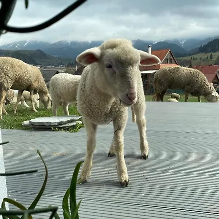 Casa Del Svana Liptov