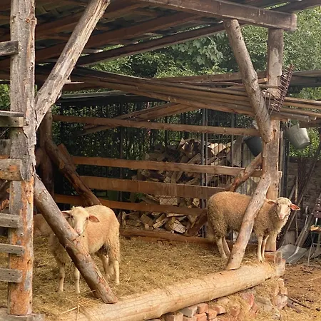 Casa Del Svana Liptov Ferienhaus