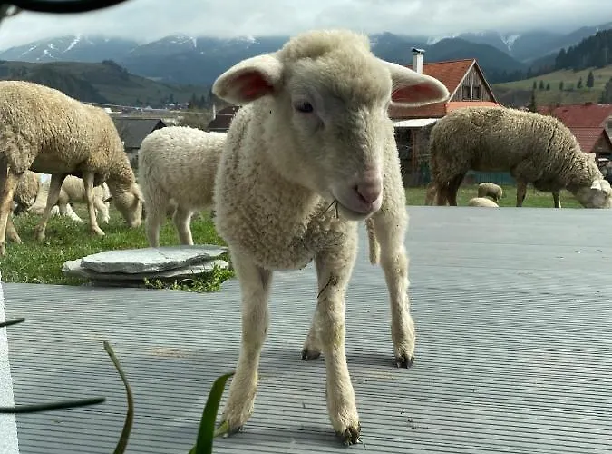 Casa De Svana Liptov