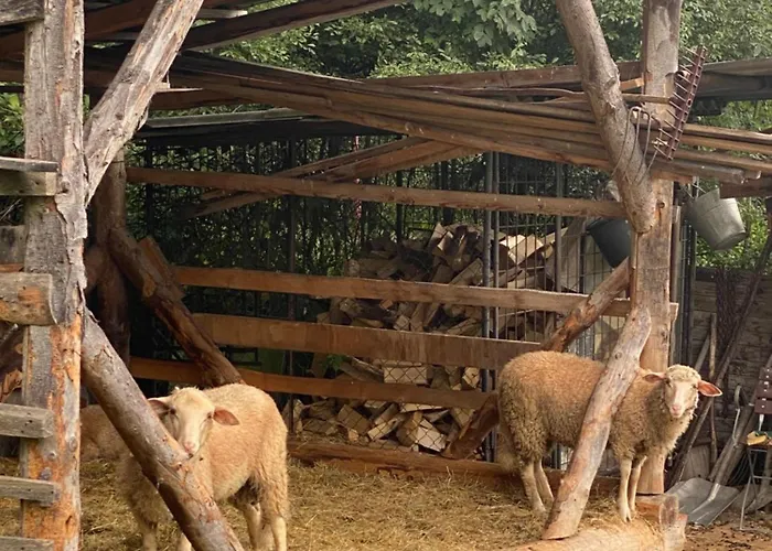 Casa De Svana Liptov Feriehus